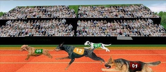 赛狗宠物赛跑模拟器（Dog Racing Pet Race Simulator）截图1