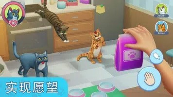 我的宠物猫模拟器(My Pets Cat Simulator)0