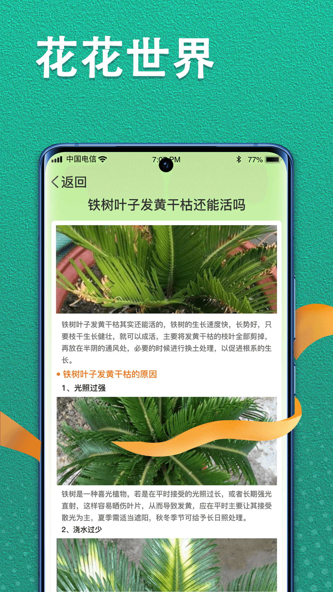 植物视界1