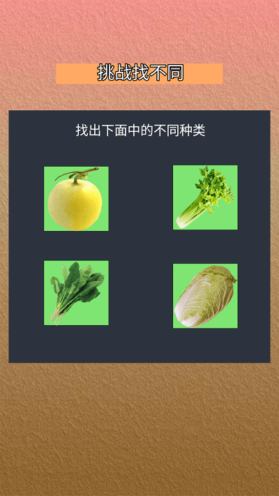 我会找不同1