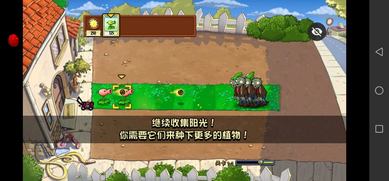 PVZ小葵花版(PvZ TV版)0