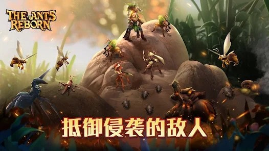 蚁国兴盛之地(The Ants Reborn)2