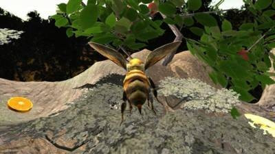 蜂巢模拟器3d(Bee Nest Simulation 3D)截图3