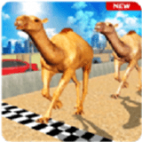 沙漠骆驼模拟器Camel Desert Race Simulator