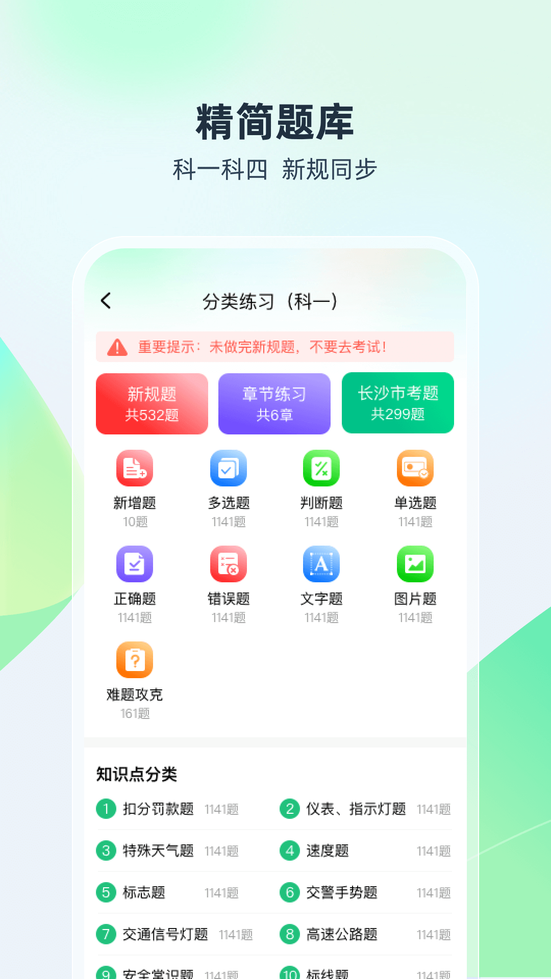 驾考高手截图1