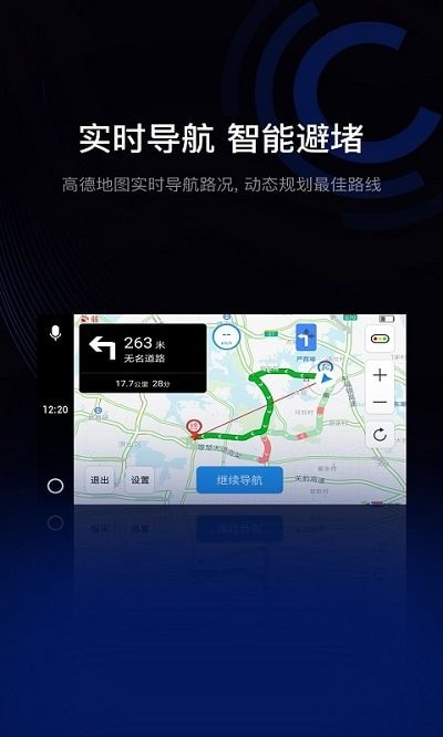 驾驶伴侣app下载截图3