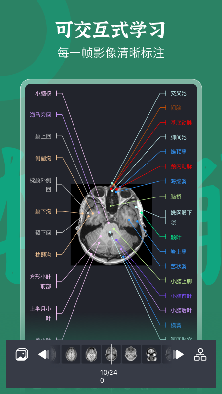 万康人体解剖去广告版下载3