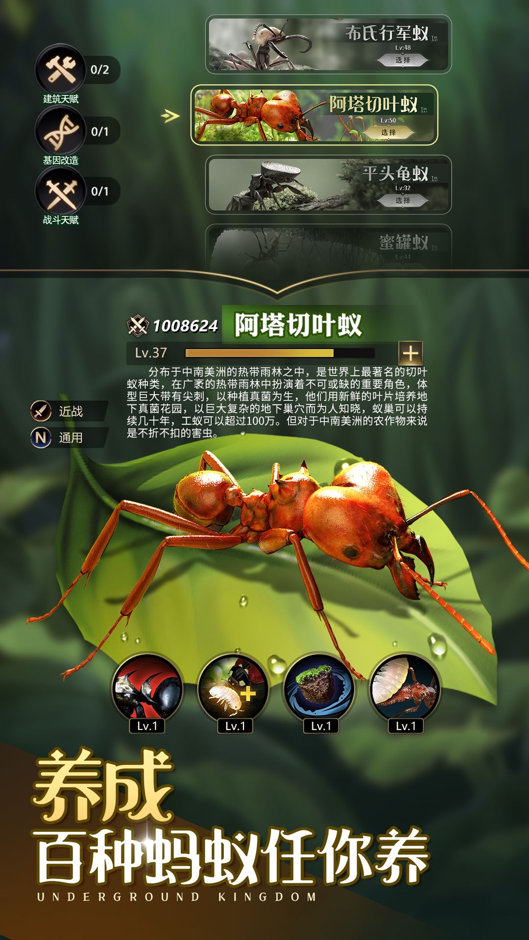 小小蚁国免费内购版截图2