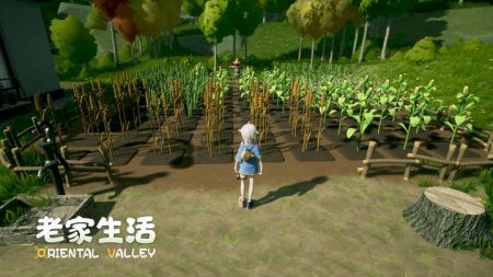 老家生活分享版截图1