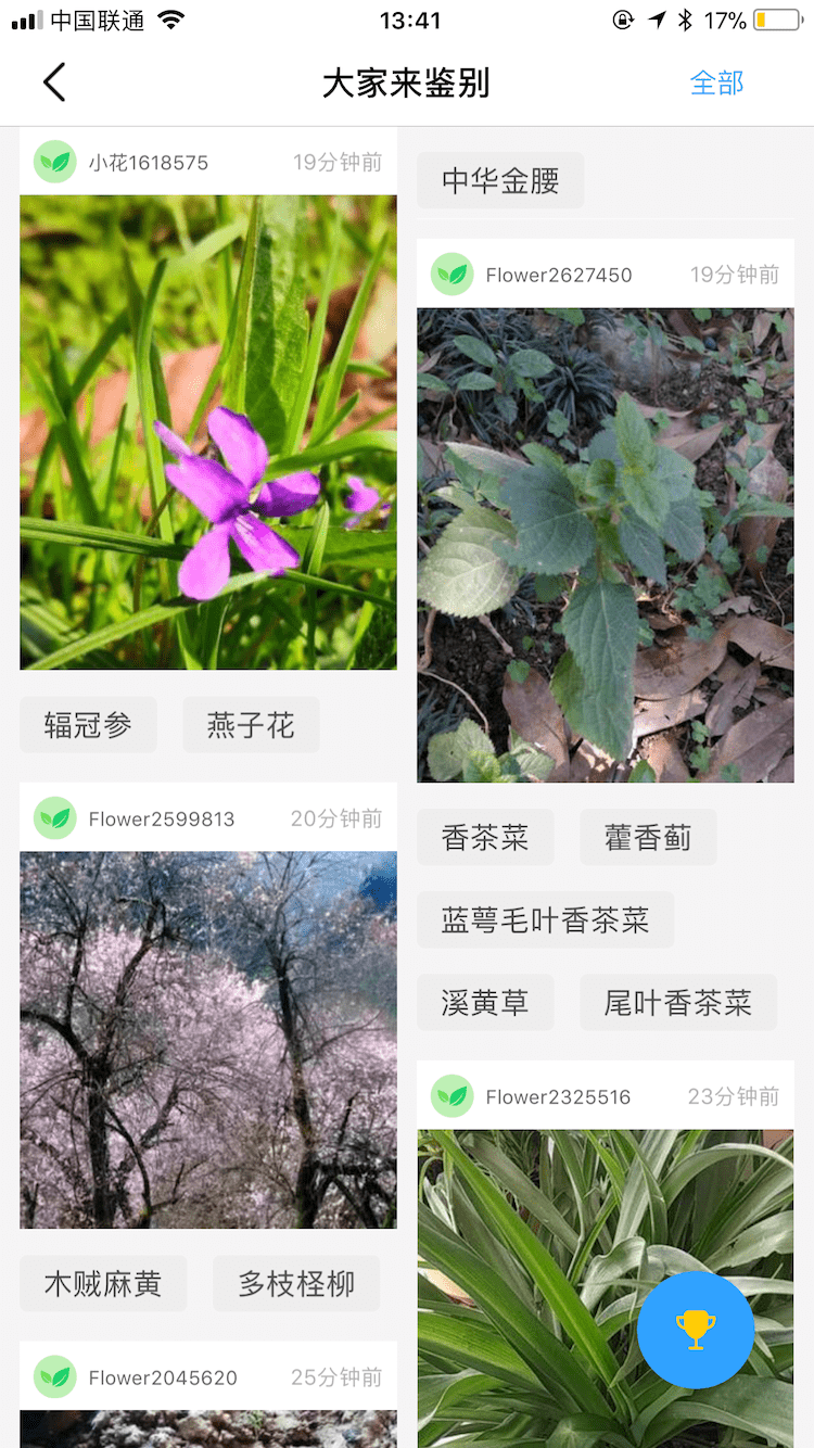 花伴侣截图5