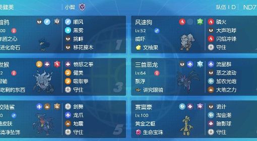 《宝可梦朱紫》双打黑暗鸦顺风队分享