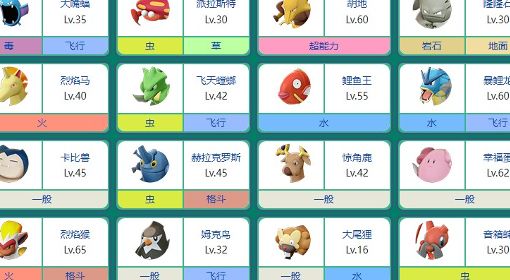 《宝可梦》系列术语头目介绍