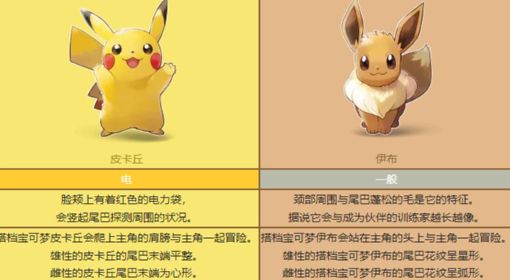 《宝可梦》系列术语搭档宝可梦科普