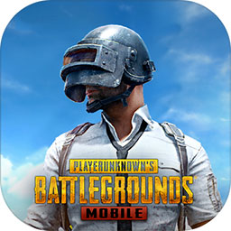 pubg国际服绿体文件免root下载