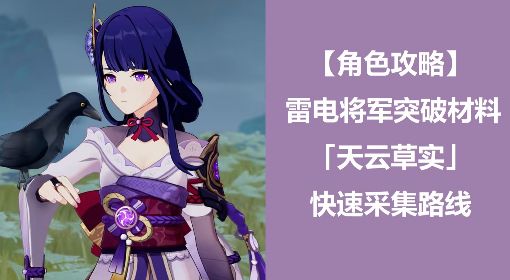 《原神》雷电将军突破材料天云草实采集路线