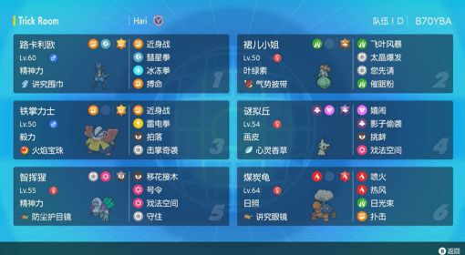 《宝可梦朱紫》双打晴空号令队配置分享