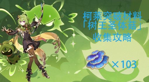 《原神》3.0须弥树王圣体菇收集点位标注 树王圣体菇采集路线分享