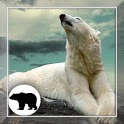 White Bear HD Live Wallpaper