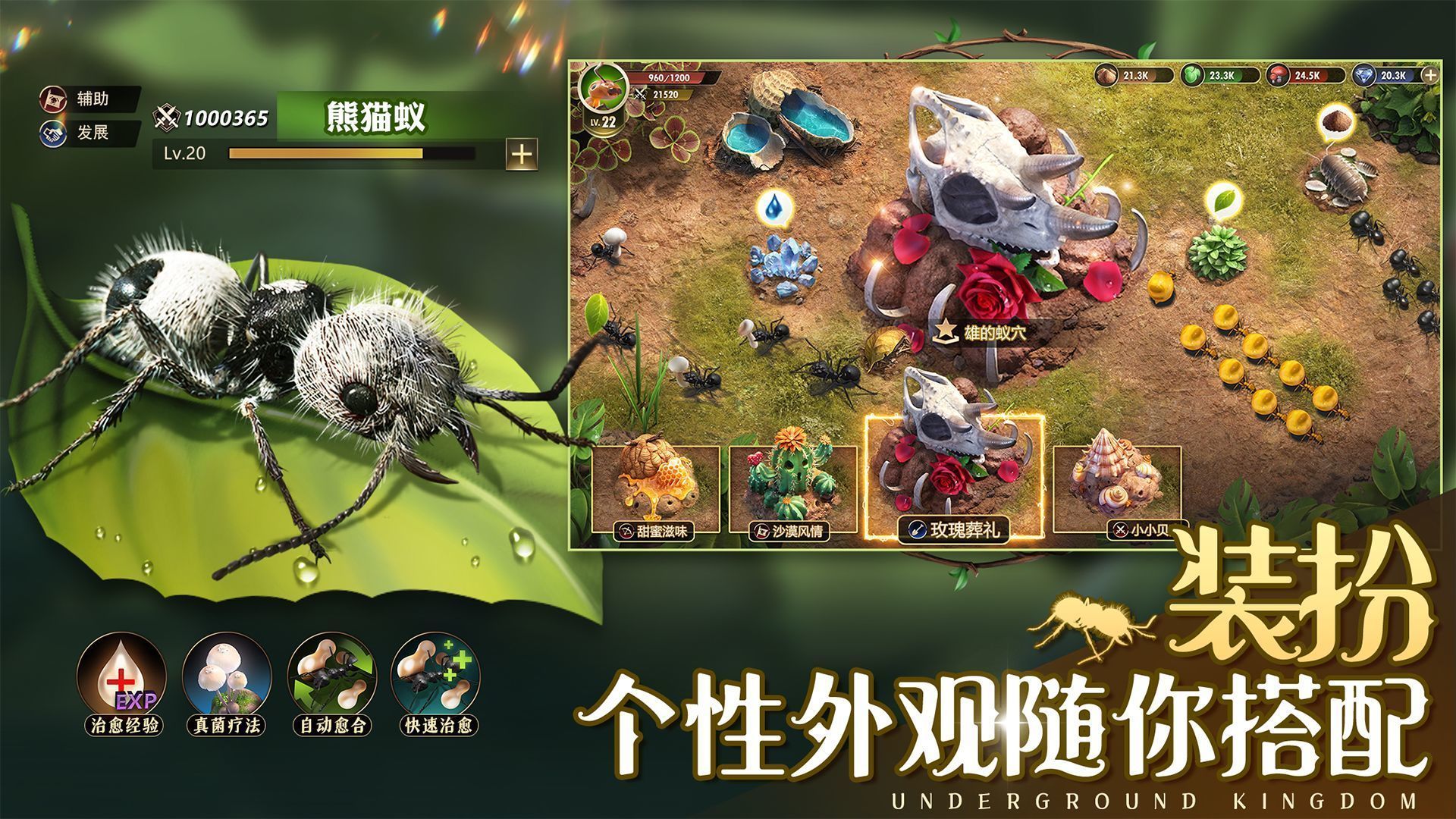 小小蚁国修改器3