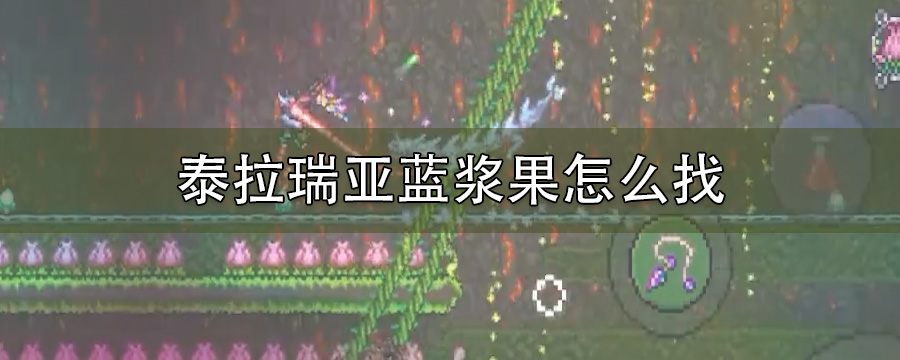 泰拉瑞亚飞镖枪用什么弹药