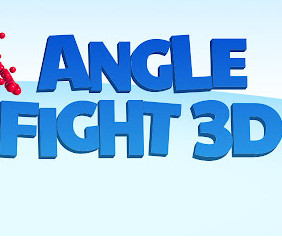 Angle Fight 3D分享版