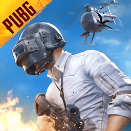 蓝电直装科技PUBG