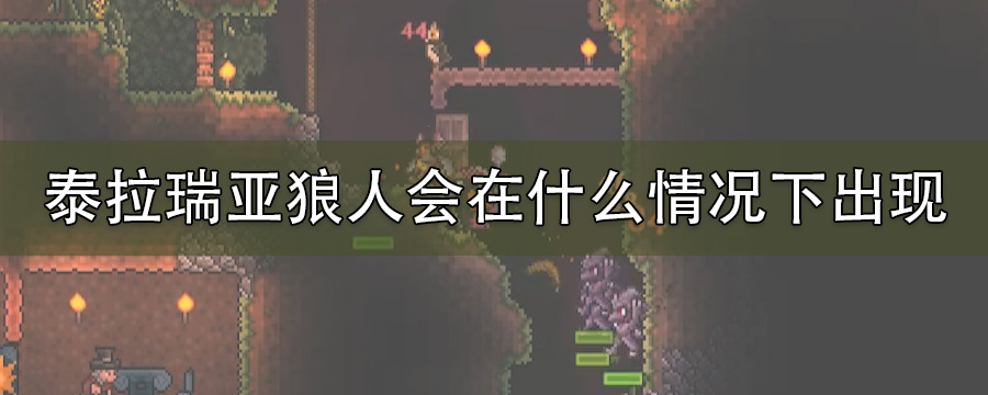 泰拉瑞亚狼人会在什么情况下出现