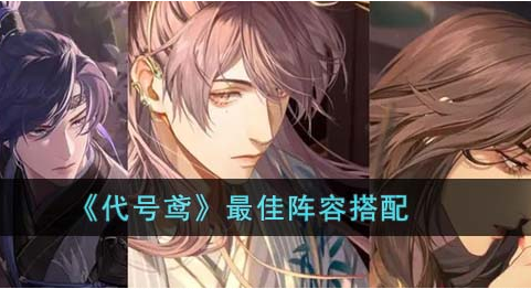 代号鸢最佳阵容是什么