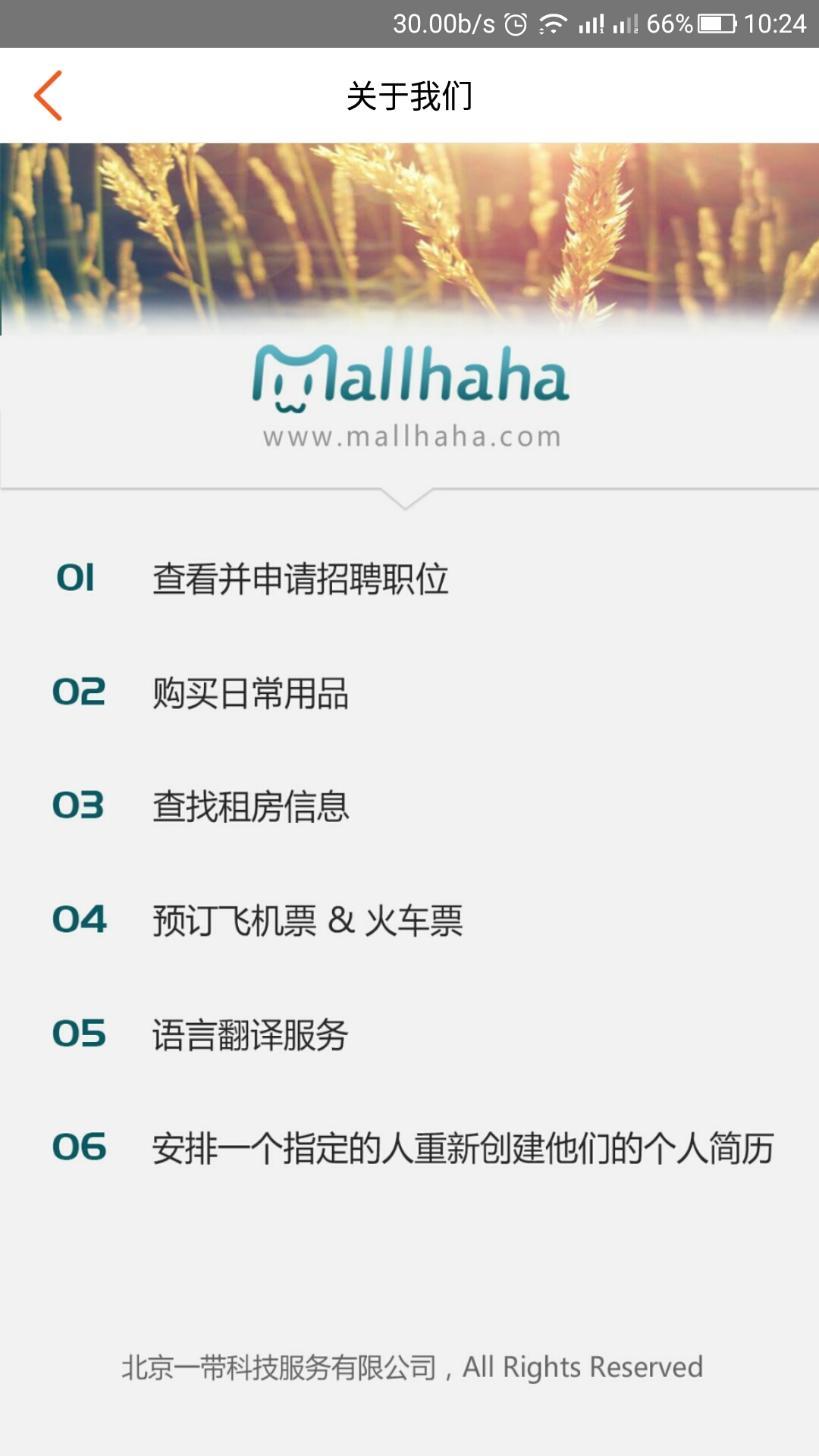 MallHaHa截图2