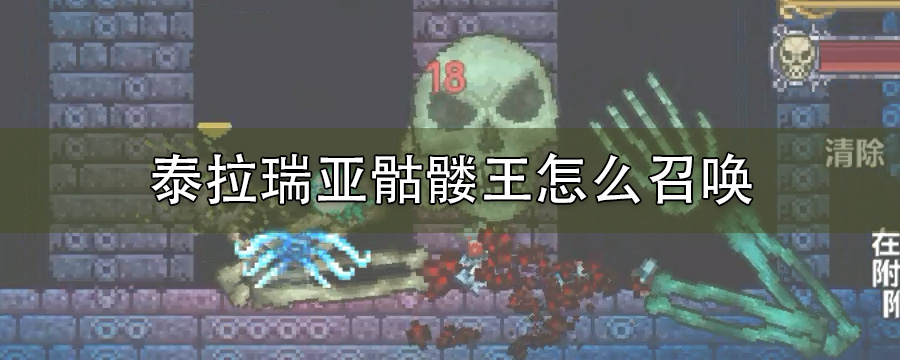 泰拉瑞亚骷髅王怎么召唤