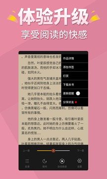 言情控小说截图4