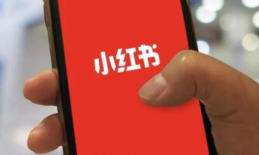 小红书怎么申请原创保护