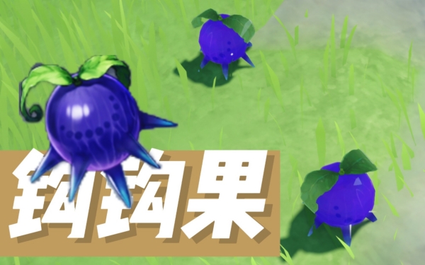 原神钩钩果购买地点一览