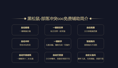 黑松鼠辅助手机版1