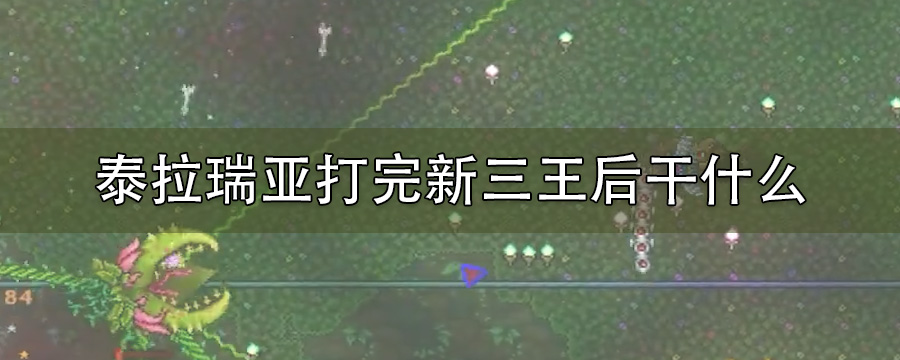 泰拉瑞亚打完新三王后干什么