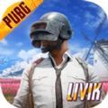 pubg战斗机直装