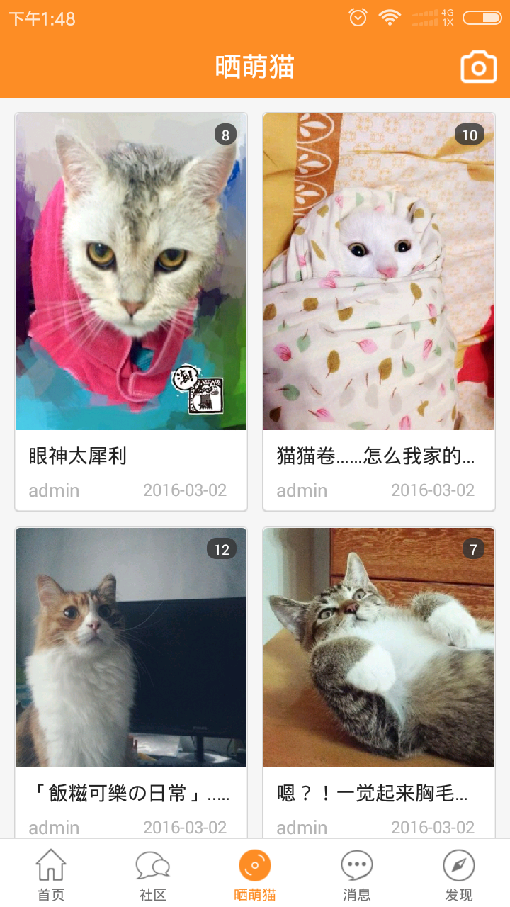 大喵喵截图3