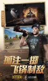 pubg国际服若琳公益直装截图2