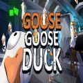 goosegooseduck辅助器手机版软件下载