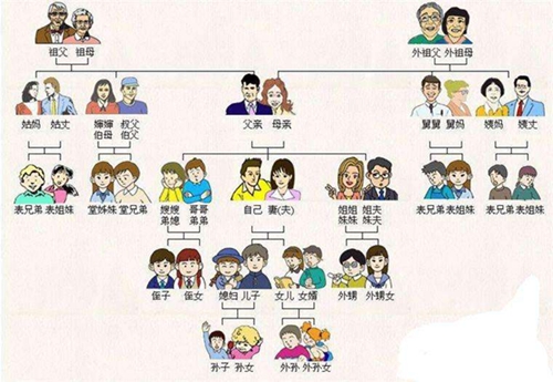 亲戚计算器网页版在线使用